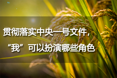 貫徹落實(shí)中央一號(hào)文件，“我”可以扮演哪些角色？